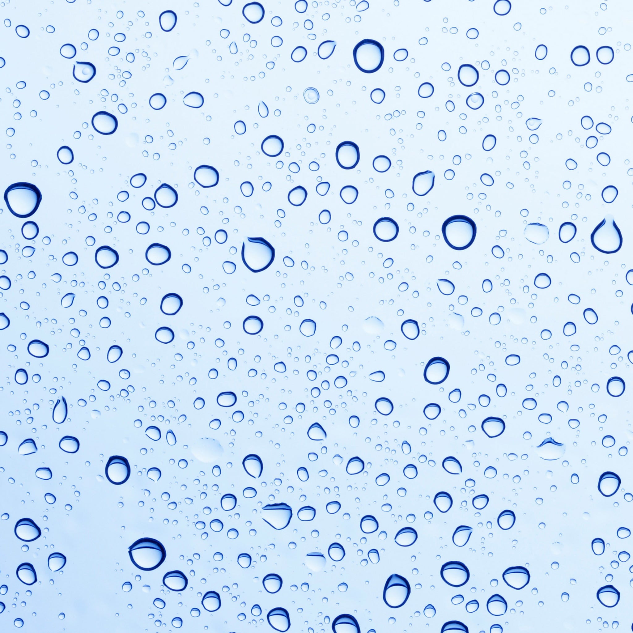 Omega 3 and Raspberry Tonic Water - SUNDÃRI