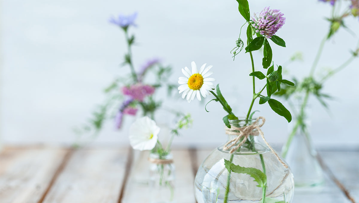 Essential Oils: The 'Foundation' of Skincare