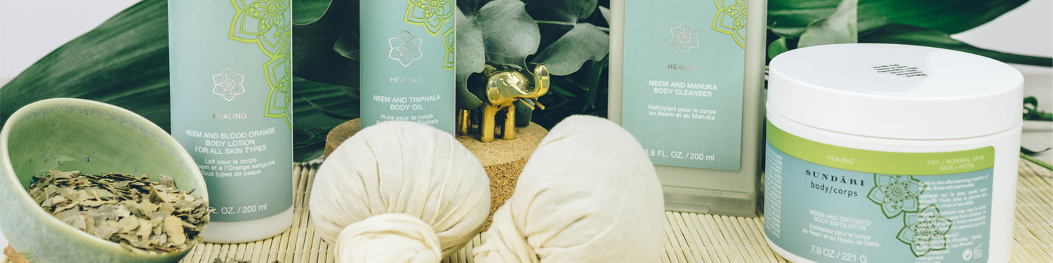 Body Healing with Neem