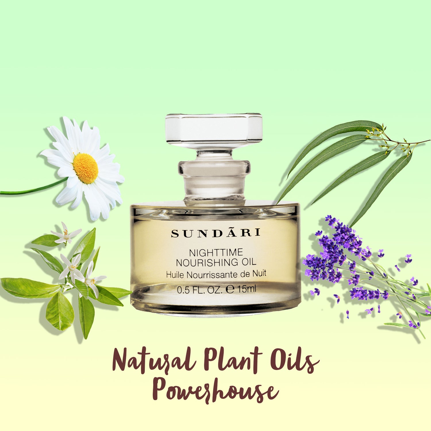 Nighttime Nourishing Oil - SUNDÃRI