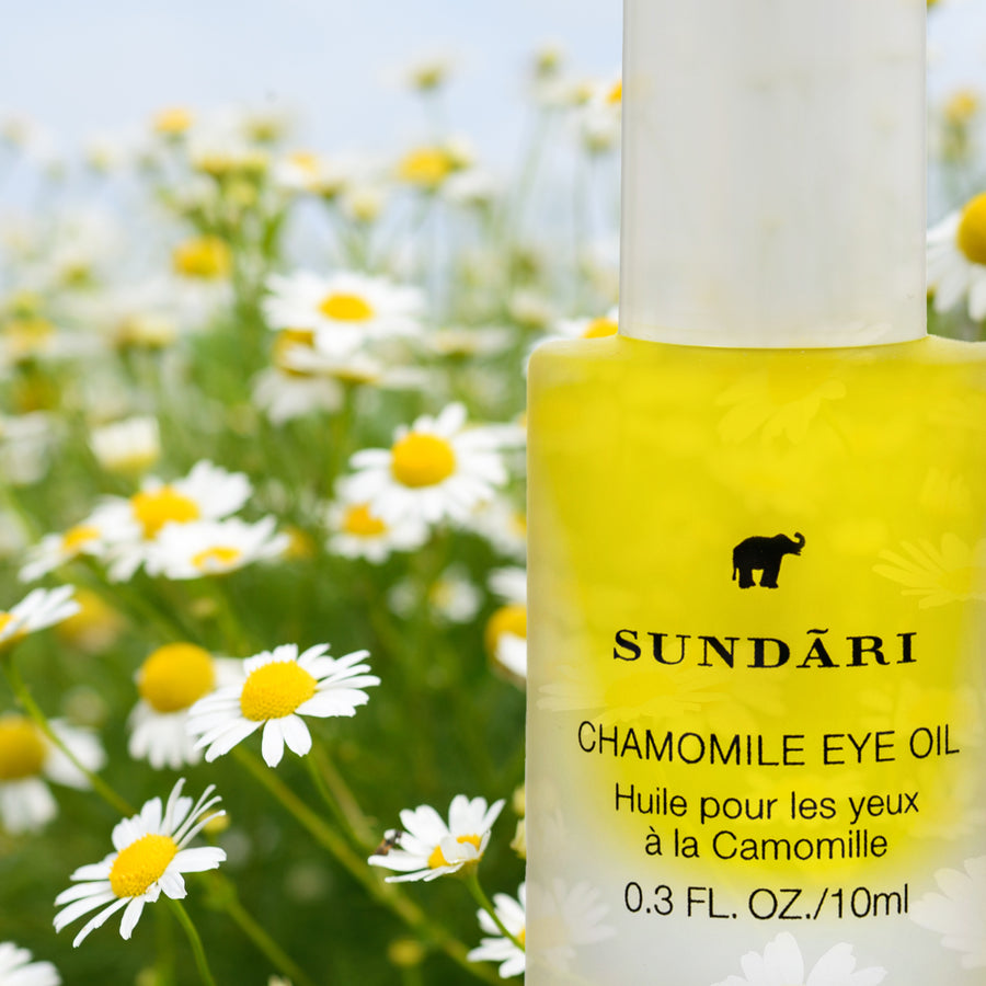 Chamomile Eye Oil - SUNDÃRI