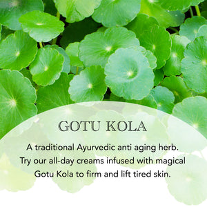 Gotu Kola and Azulene Moisturizer - SUNDÃRI