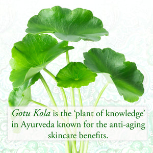 Gotu Kola and Boswellia Eye Serum - SUNDÃRI