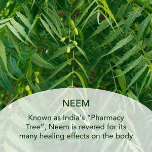 Neem and Avocado Balancing Moisturizer - SUNDÃRI